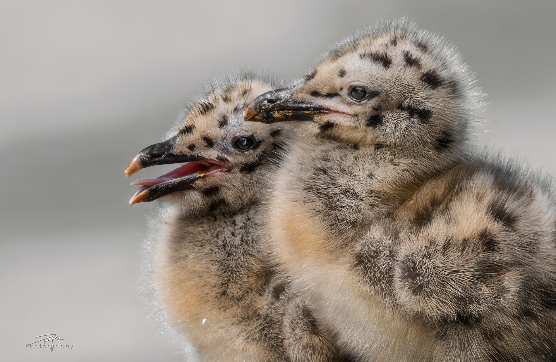 19.05.2025- Frühling